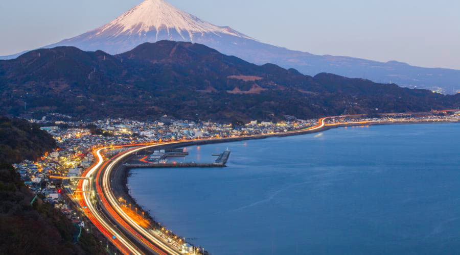 ¿Cuáles son las opciones de vehículos más populares en Shizuoka?